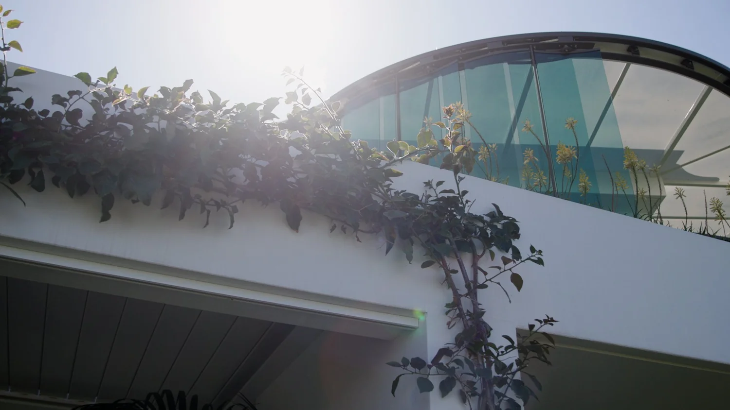 Sunlit building with glass roof, climbing plants, and modern architecture.