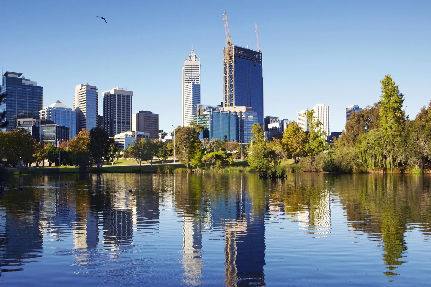 City skyline with skyscrapers reflected in a lake, surrounded by trees and green park area.
